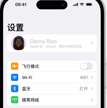 东源appleID维修服务iPhone设置中Apple ID显示为灰色无法使用 