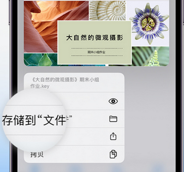 东源apple维修中心分享iPhone文件应用中存储和找到下载文件