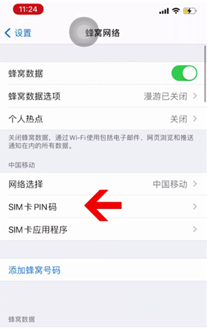 东源苹果14维修网分享如何给iPhone14的SIM卡设置密码 