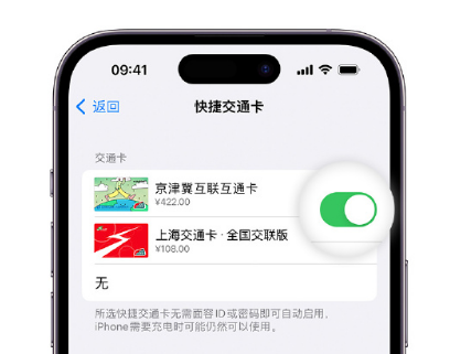 东源apple维修点分享iPhone上更换Apple Pay快捷交通卡手绘卡面 