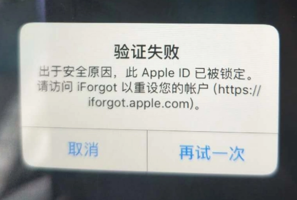 东源iPhone维修分享iPhone上正常登录或使用AppleID怎么办 