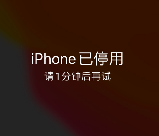 东源苹果手机维修分享:iPhone 显示“不可用”或“已停用”怎么办？还能保留数据吗？ 