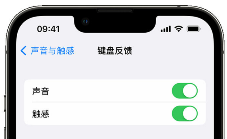 东源苹果手机维修分享iPhone 14触感键盘使用方法 