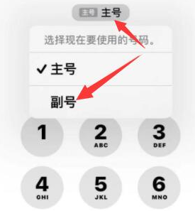 东源苹果14维修店分享iPhone 14 Pro Max使用副卡打电话的方法 