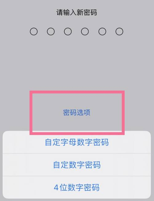 东源苹果14维修分享iPhone 14plus设置密码的方法 