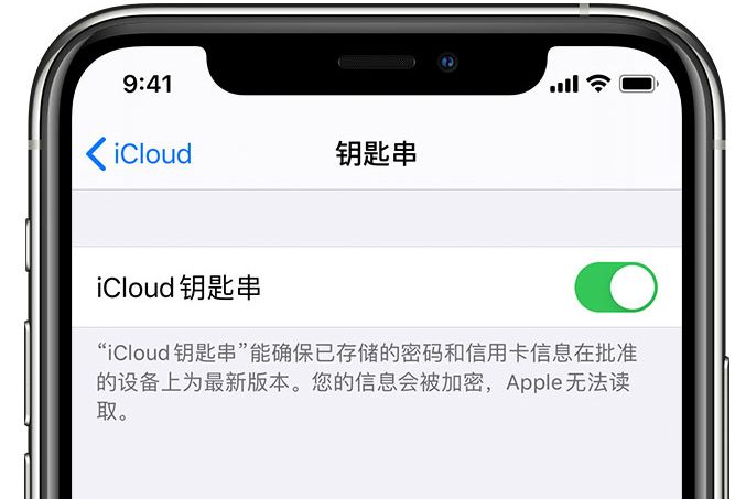 东源苹果手机维修分享在 iPhone 上开启 iCloud 钥匙串之后会储存哪些信息 